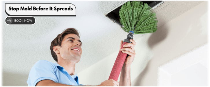 Air Duct Mold Removal in Garland TX