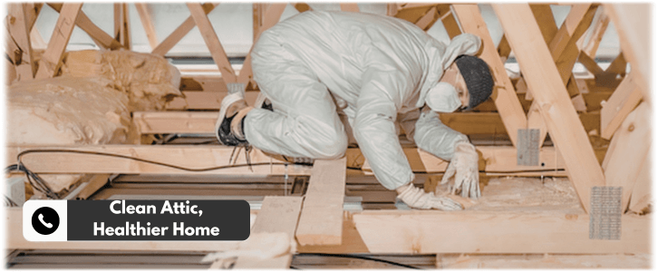 Attic Cleaning Garland TX