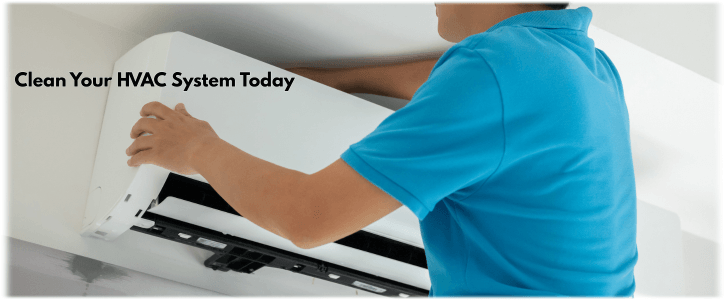 HVAC Mold Removal Garland TX